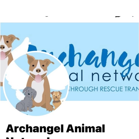 Unlisted closet clearout LIVE Sunday, 1/19 Variety of items and sizes - Picture 4 of 5